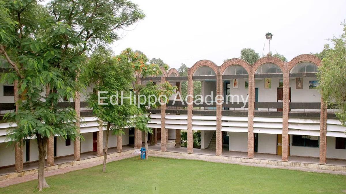 motilal nehru school of sports school photo | EdHippo Academy