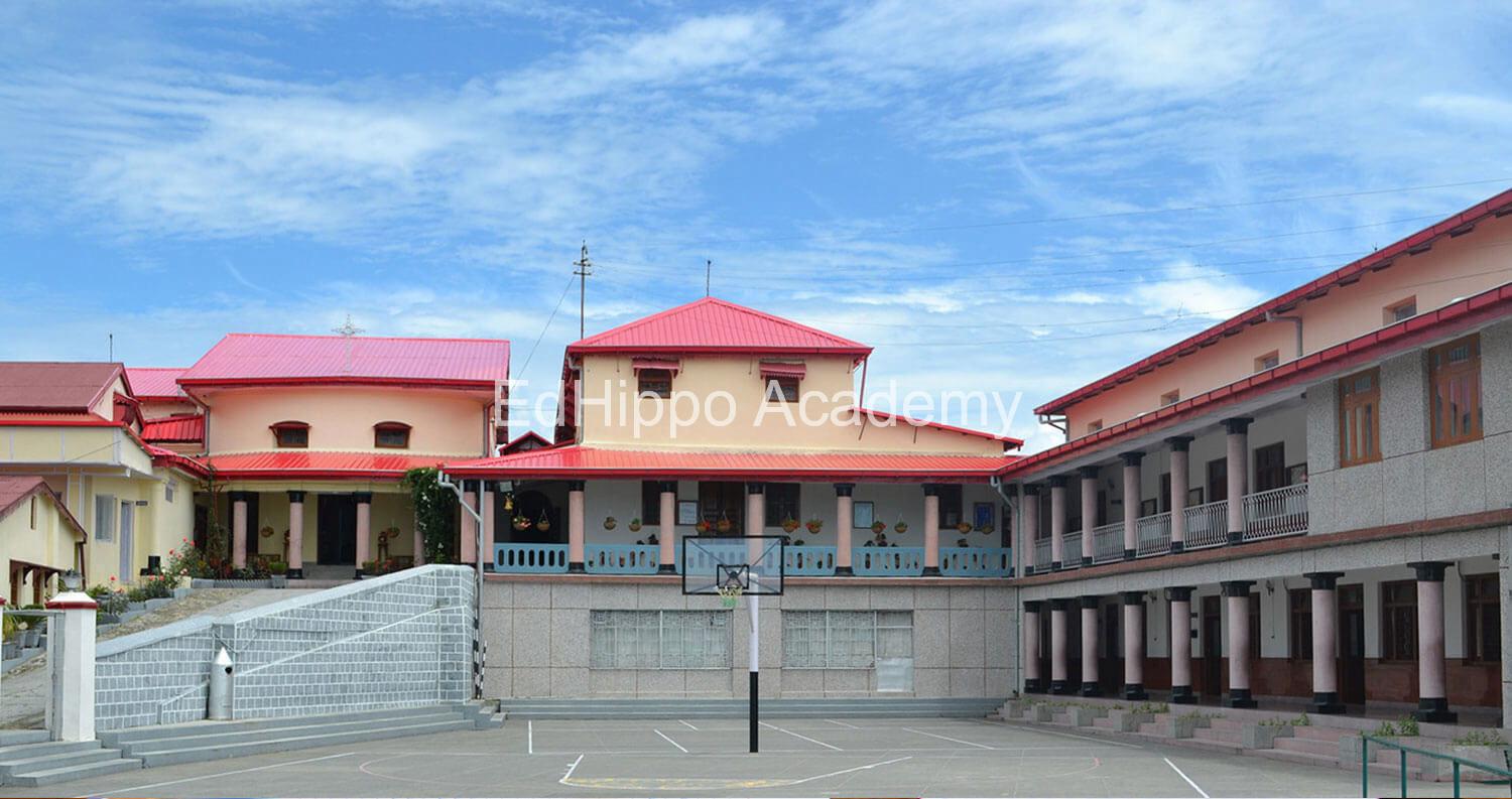 Convent Of Jesus And Mary School school photo | EdHippo Academy