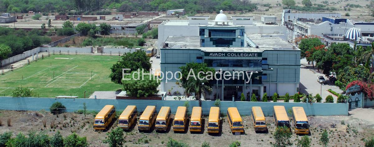 Avadh Collegiate | EdHippo Academy